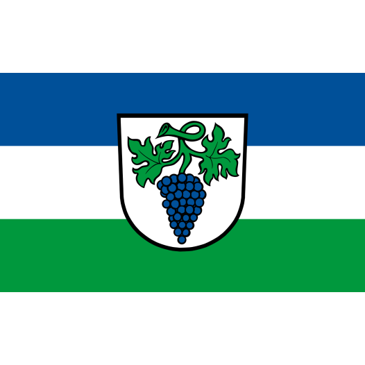 Vlag Weingarten 100x150cm
