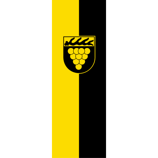 Vlag Weinstadt 100x150cm