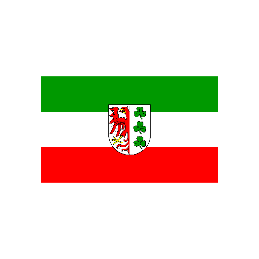 Vlag Werder 200x300cm