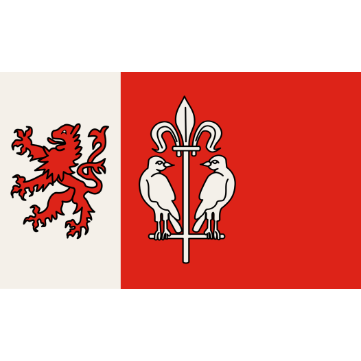 Vlag Wesseling 200x300cm
