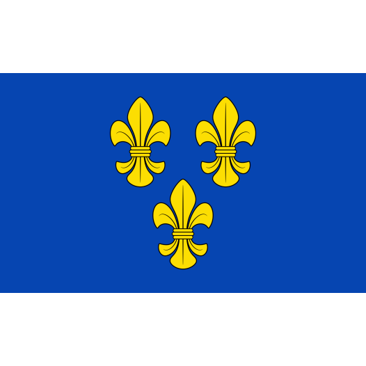 Vlag Wiesbaden 150x225cm