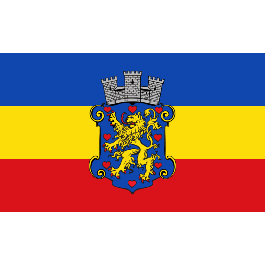 Vlag Winsen 200x300cm