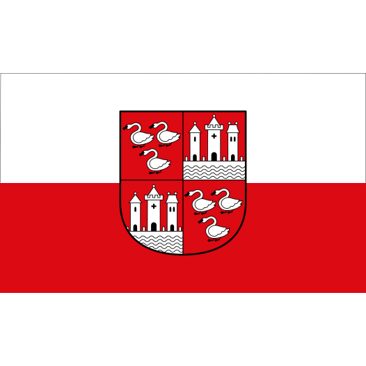 Vlag Zwickau 200x300cm