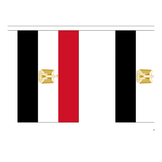Vlaggenlijn Egypte - 3 meter I stof