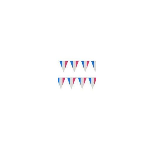 Vlaggenlijn Frankrijk - 10 meter | Plastic