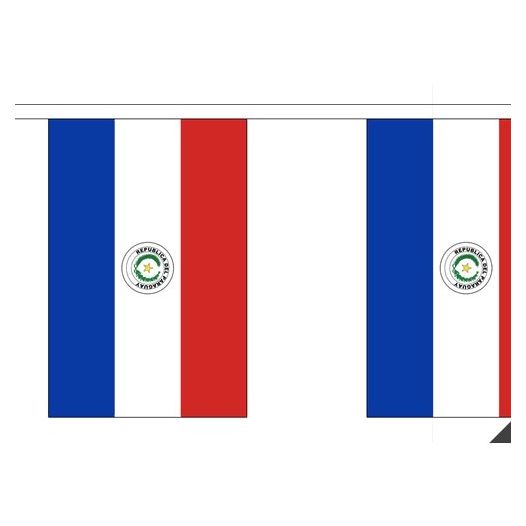Vlaggenlijn Paraguay 3 meter lang