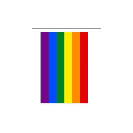 Regenboog vlaggenlijn - 9 meter | Stof