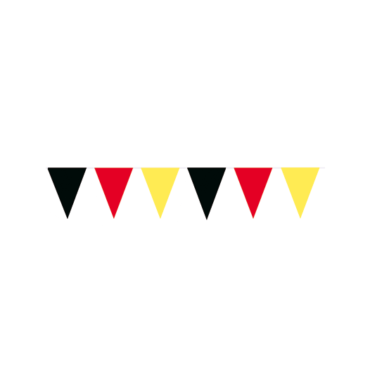 Vlaggenlijn Duitsland - 40 meter | Plastic