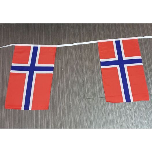 Vlaggenlijn Noorwegen XL - 10 meter