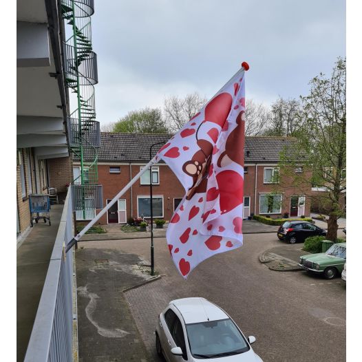vlaggenstokhouder balkon bevestiging spijlenhek
