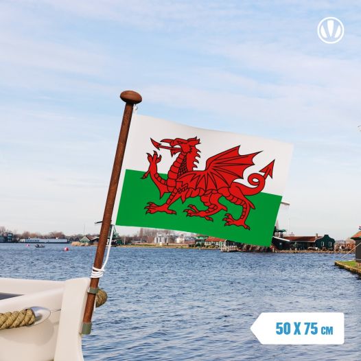 vlag Wales 50x75cm