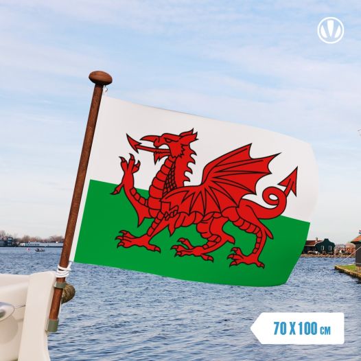 vlag Wales 70x100cm
