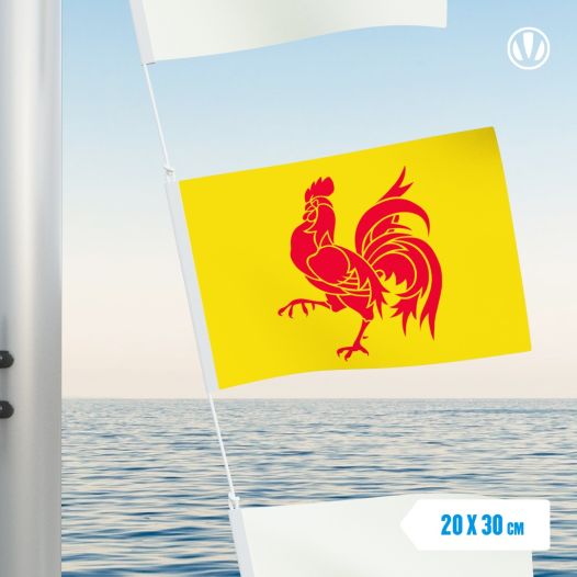 vlag Wallonie 20x30cm gastenvlag tentvlag