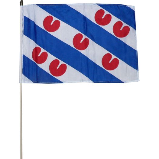 Zwaaivlag Friesland XL 50x70cm