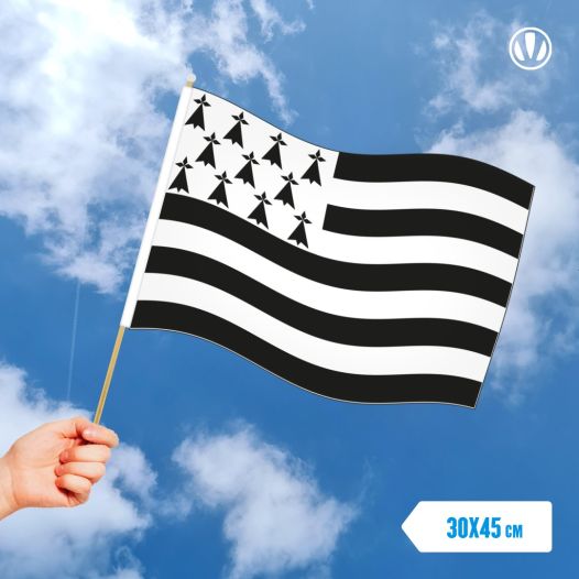 Zwaaivlag Bretagne