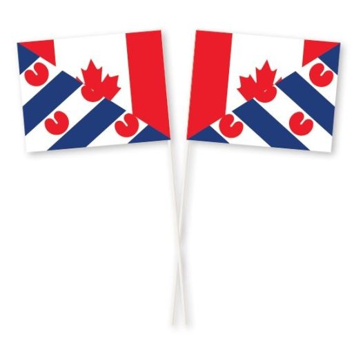 Zwaaivlag Canada Friesland 15x19cm
