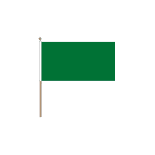 Zwaaivlag groen 15x22,5cm met stok van 30cm