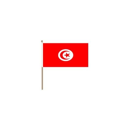 Zwaaivlag Tunesie 30x45cm | stof