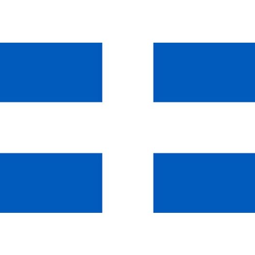 Vlag Zwolle 50x75cm