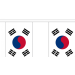 Vlaggenlijn Zuid Korea - 3 meter | stof