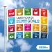 SDG vlag 200x300cm Nederlands