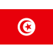 Vlag Tunesië 225x350cm