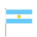 Zwaaivlag Argentinie 30x45cm met stok