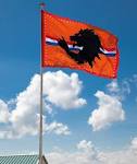 Oranje EK | WK vlag met leeuw XXL 200x300cm