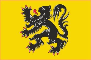 vlag Vlaanderen 30x45cm Vlaamse Leeuw vlaggen Leeuwenvlag