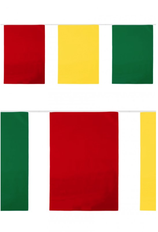 Vlaggenlijn Carnaval Limburg rechthoek XL - 10 meter | Brandvertragend