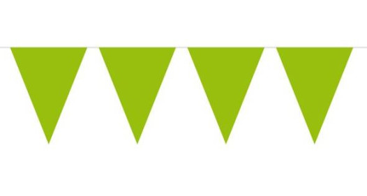 Vlaggenlijn Appeltjesgroen - 10 meter | Plastic