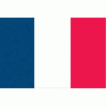 Zwaaivlag Frankrijk 30x45cm luxe, stoklengte 60cm