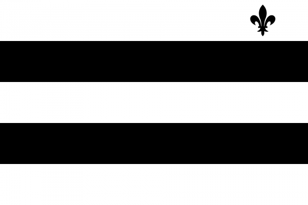 Grote vlag Meerhout