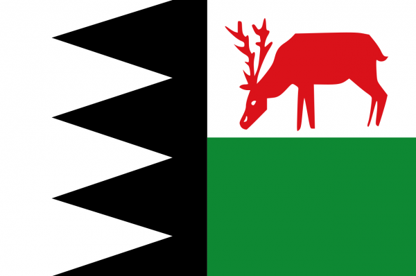 Grote vlag Bruinisse