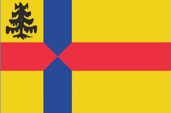 Vlag gemeente Roden 20x30cm Rodense vlaggen