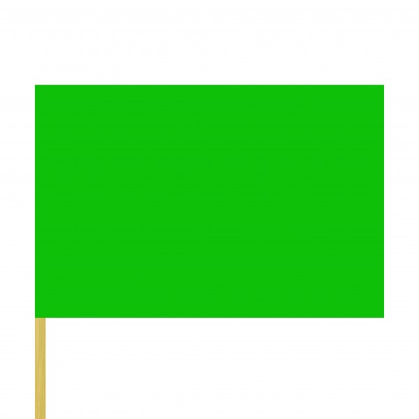 Zwaaivlag groen 50x75cm met stok van 80cm