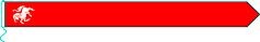 Wimpel Twentse Ros | Twente wimpels 25x300cm