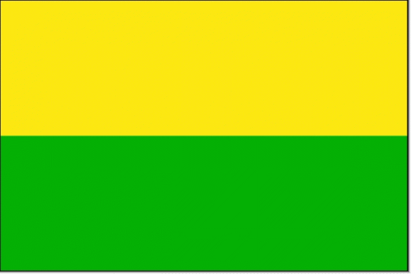 Vlag gemeente Den Haag | Haagse vlaggen 20x30cm