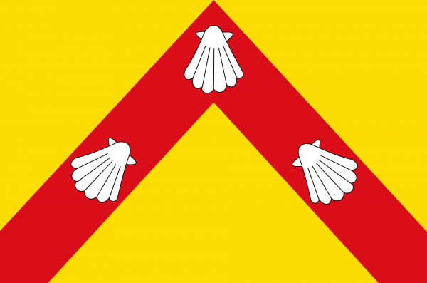 Grote vlag Zedelgem