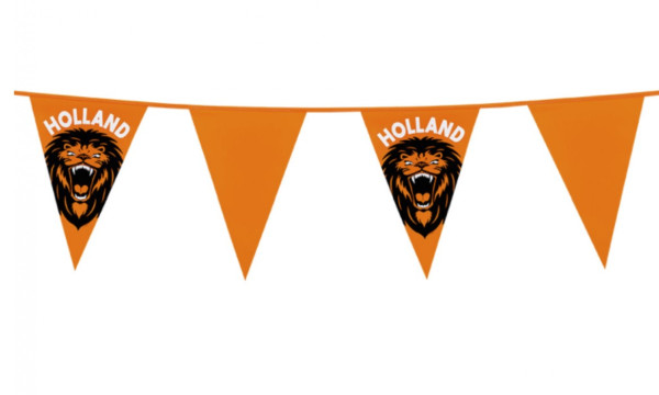 vlaggenlijn Holland Oranje met Leeuw