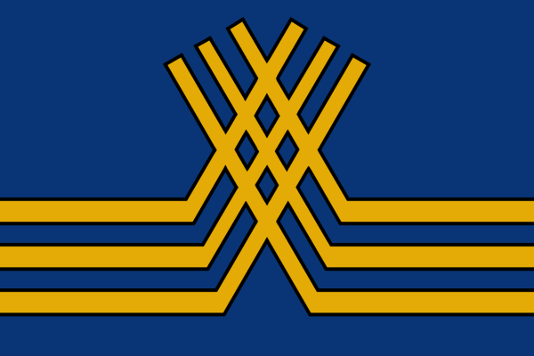 Vlag Stekene 120x180cm