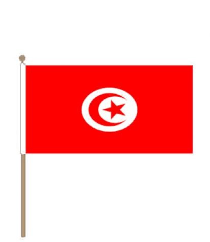 Zwaaivlag Tunesië 15x22,5