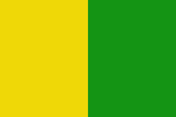 Vlag Hoeilaart 120x180cm
