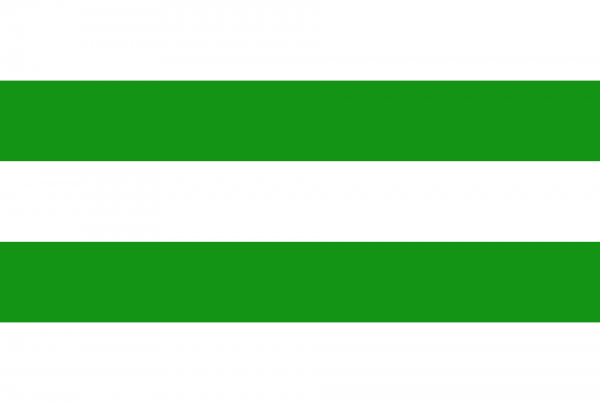 Grote vlag Hasselt