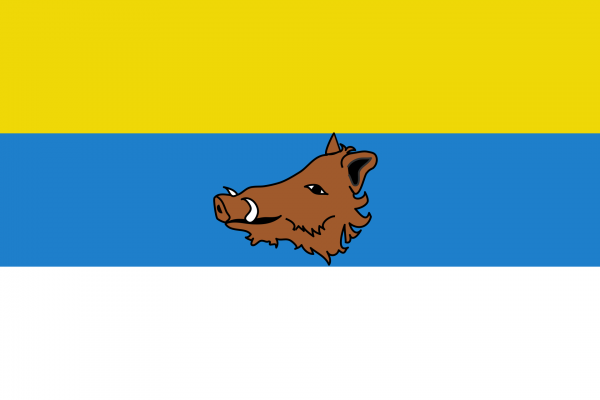 Grote vlag Zaventem