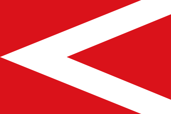 Vlag Anderlues 120x180cm
