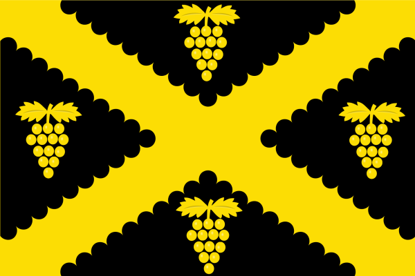 Vlag Wijnegem 120x180cm