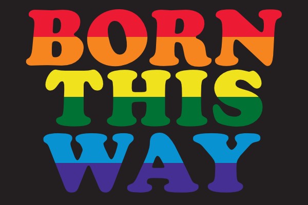 Vlag Born This Way 120x180