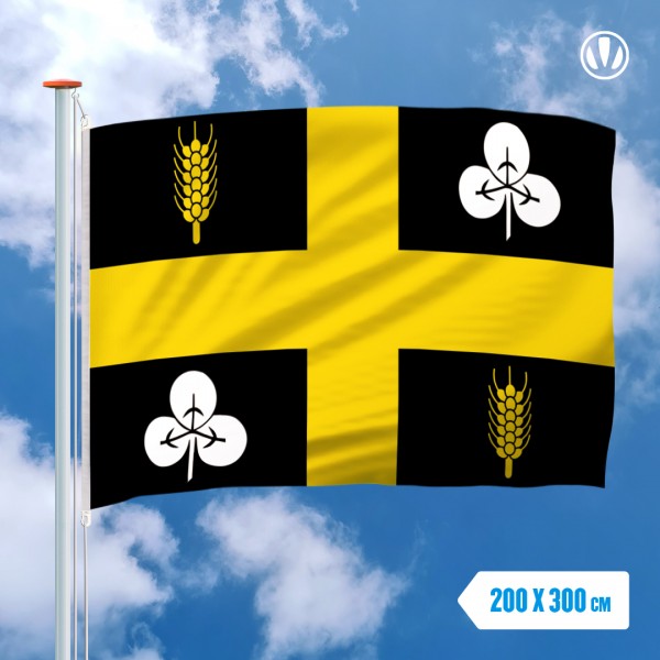 Grote Mastvlag Raalte