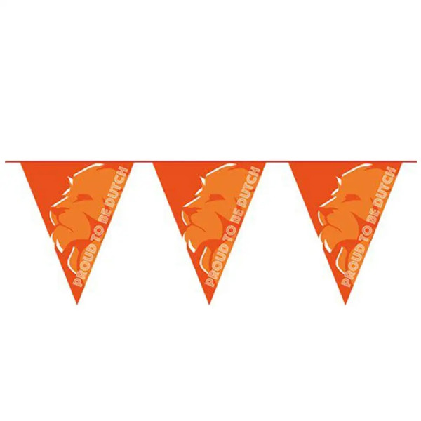 Proud to be dutch vlaggenlijn